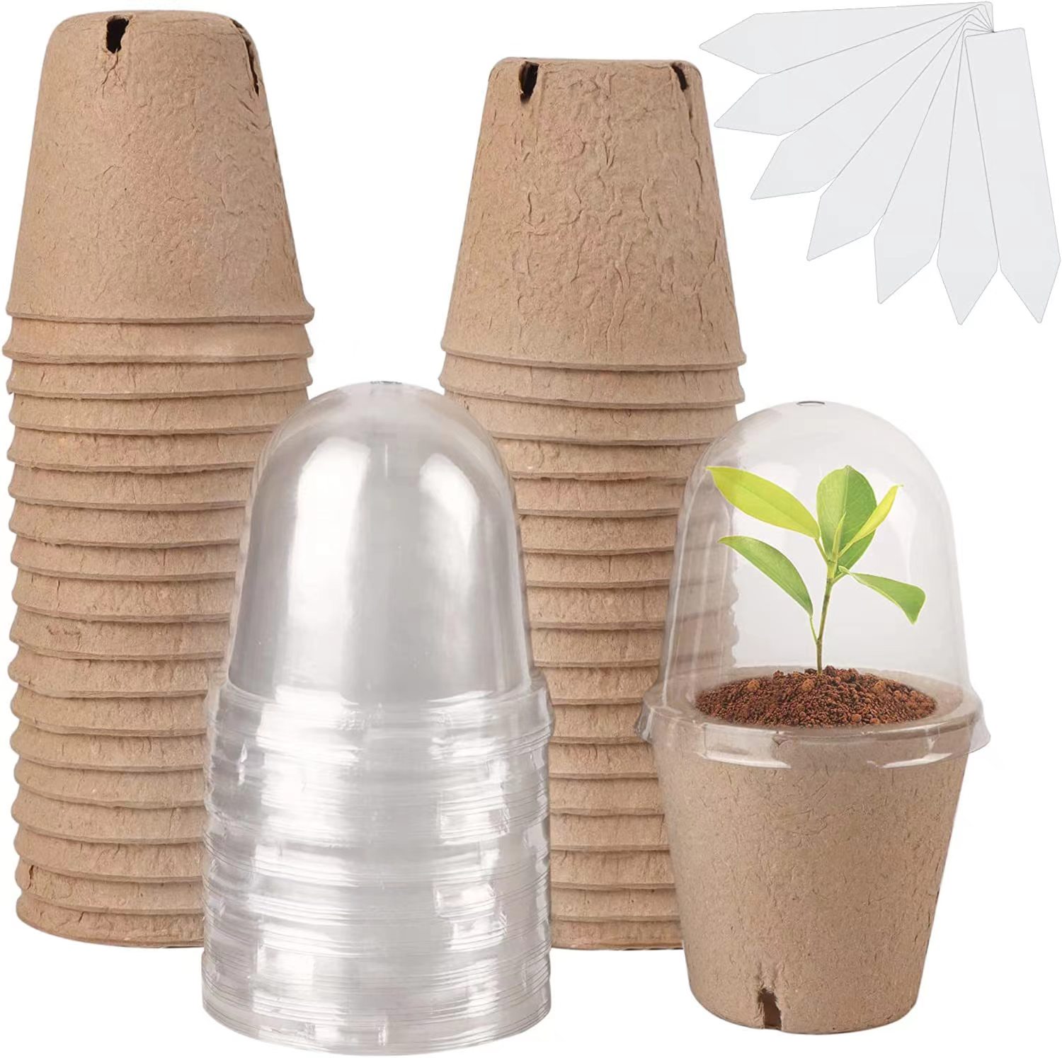 種まき用生分解性ピートポット、苗植え用ポット（1/610ラベ - Indoor Herb Garden Kit のレビューと価格