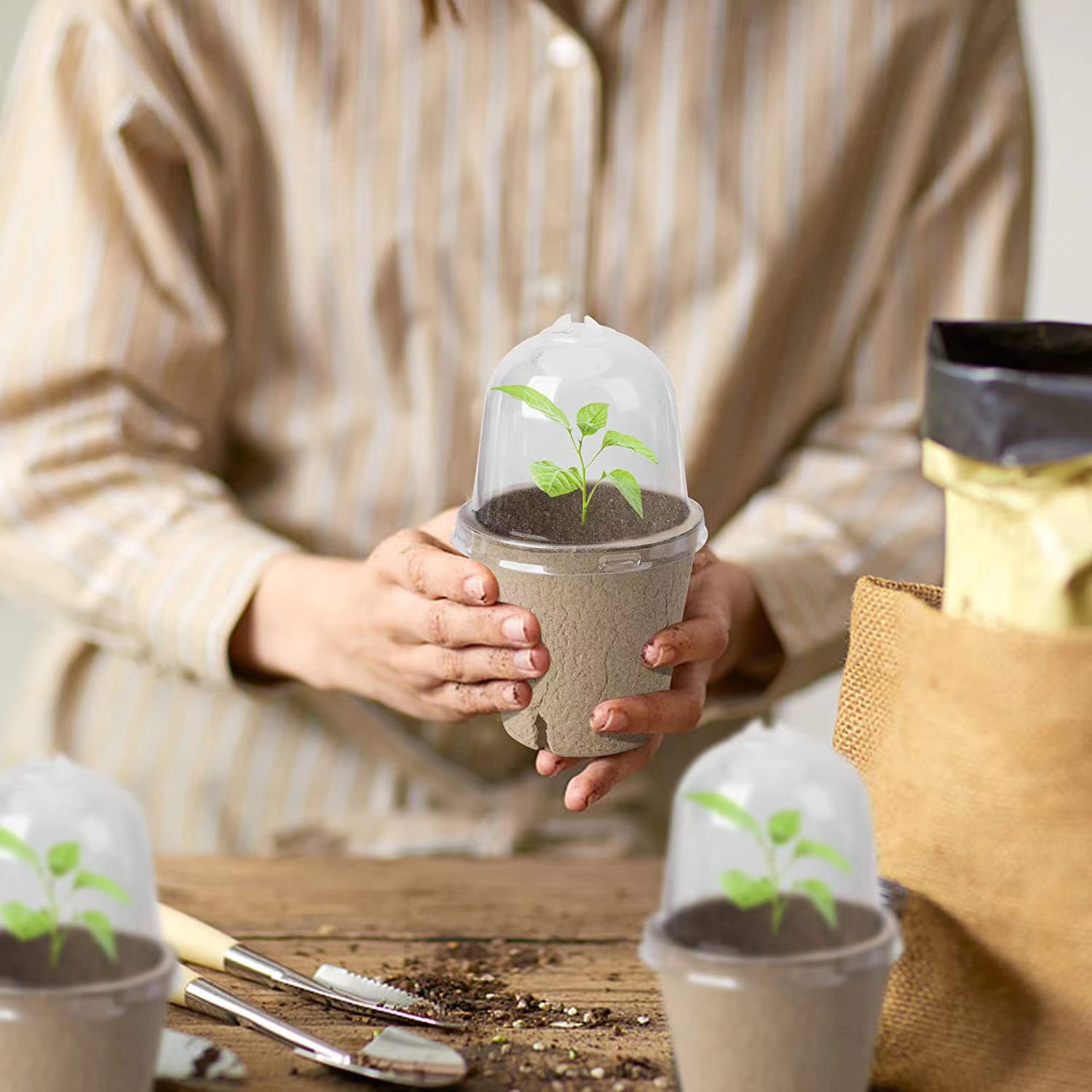 種まき用生分解性ピートポット、苗植え用ポット（1/610ラベ - Indoor Herb Garden Kit のレビューと価格