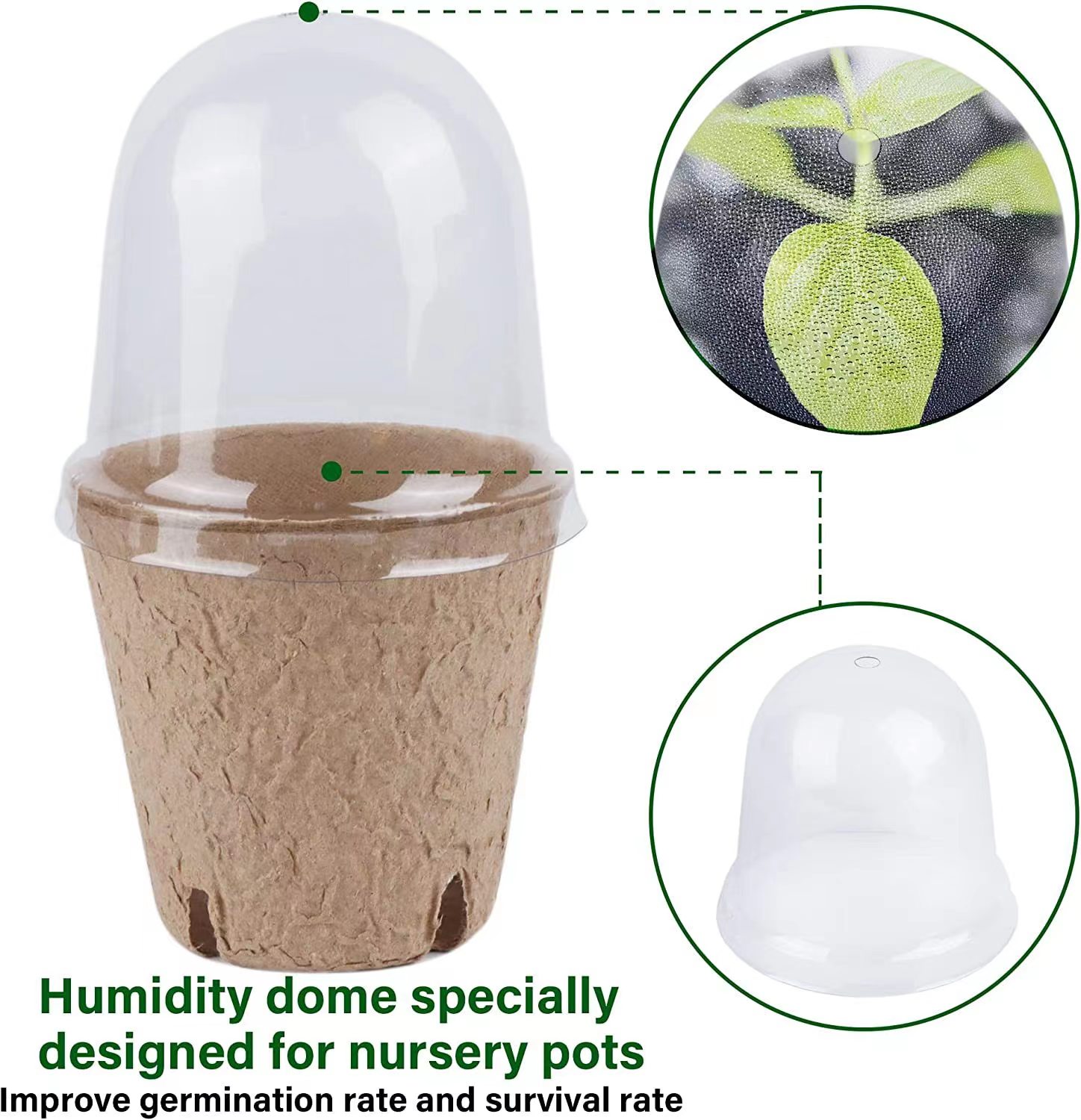 種まき用生分解性ピートポット、苗植え用ポット（1/610ラベ - Indoor Herb Garden Kit のレビューと価格