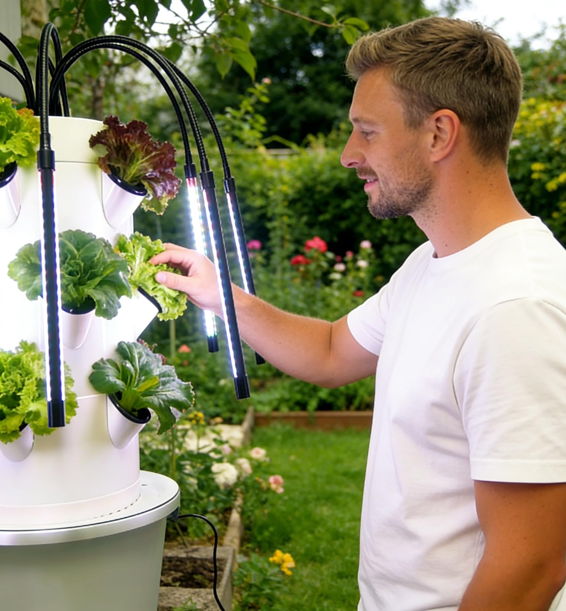 垂直水耕栽培システム |   3層15穴屋内ガーデンキット（ - Indoor Herb Garden Kit のレビューと価格