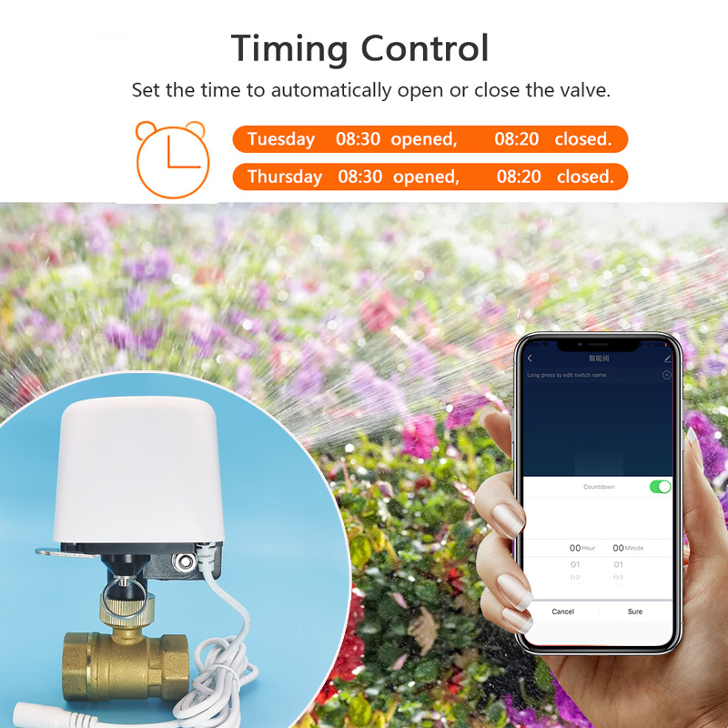 1/2インチ 3/4インチ 1インチ DN32 Tuya Z - Smart Garden Water のレビューと価格