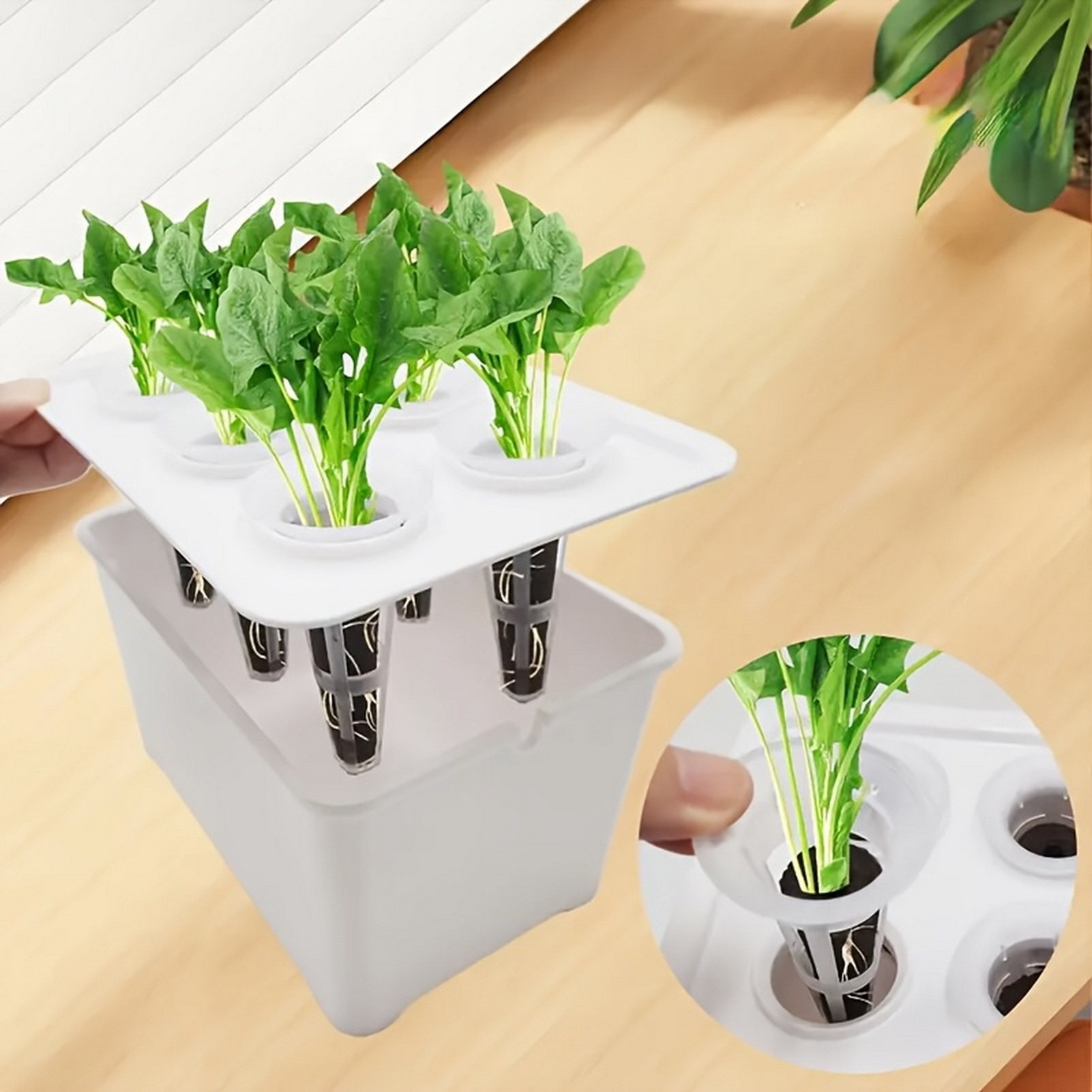 6 in 1 水耕栽培用育苗ポット、苗ポット、土を使わない植 - Indoor Herb Garden Kit のレビューと価格