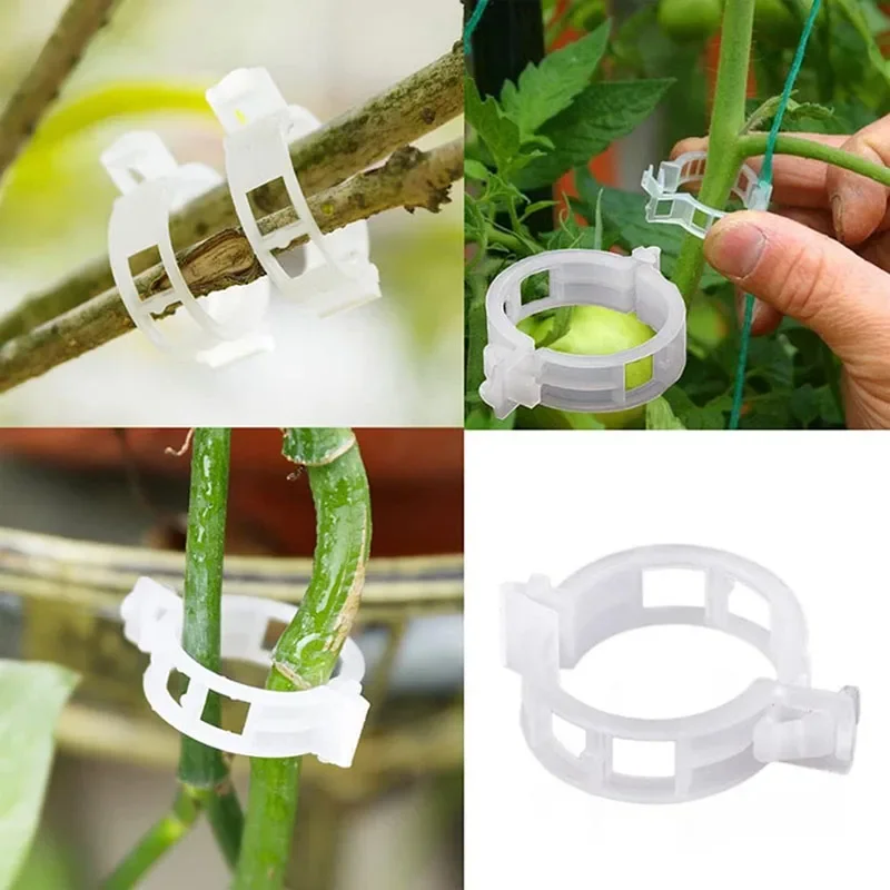 100 個植物固定クリップ再利用可能な植物野菜つる接続固定ツ - Smart Garden Hub のレビューと価格