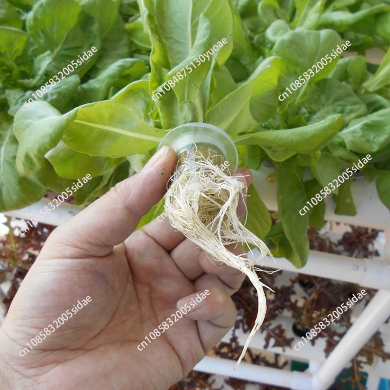 3層式水耕栽培システムキット 108サイト PVCパイプ 土 - Indoor Herb Garden Kit のレビューと価格