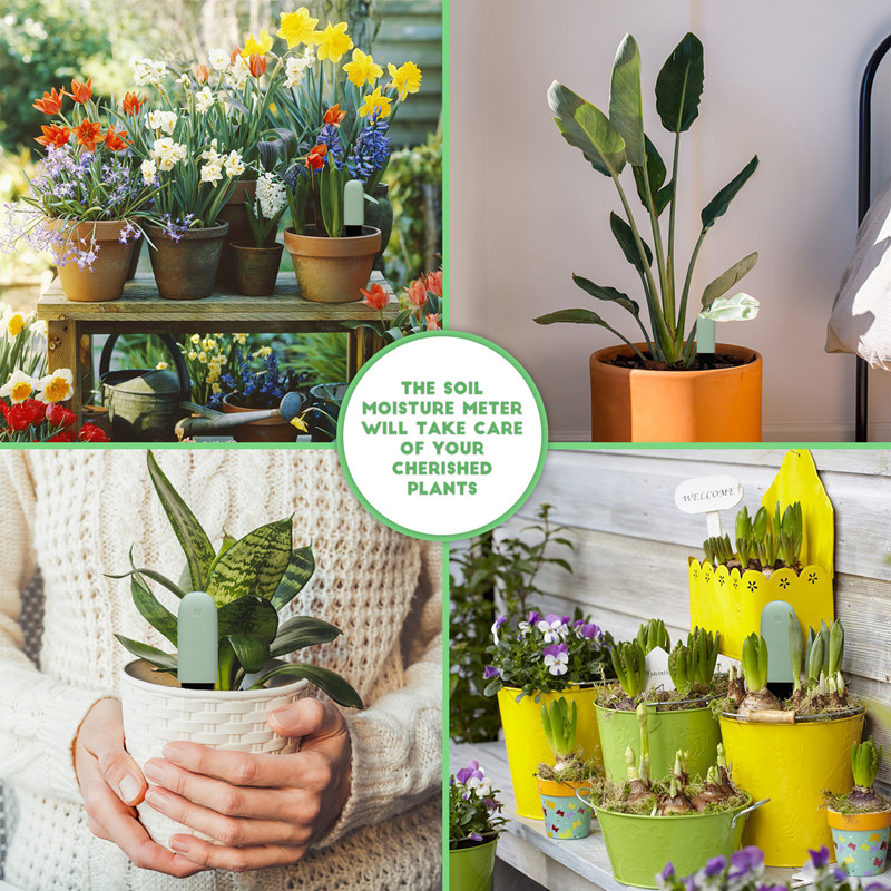 Hhcc-flora-ヘルスケアモニター,家庭用アプリ,庭の - App Smart Garden のレビューと価格