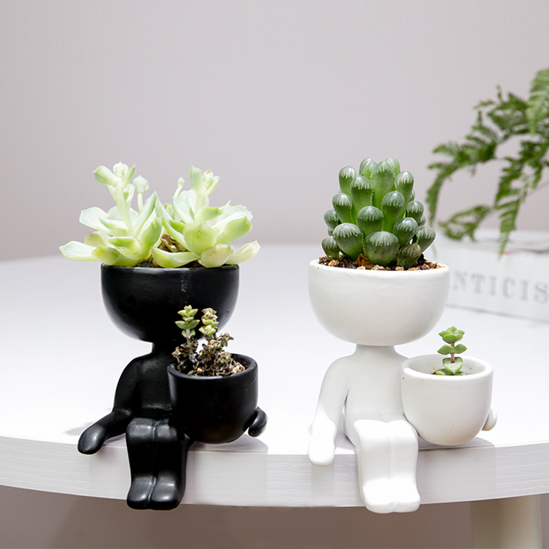 ヘアトイドセラミックフラワーポット、クリエイティブなオフィス - Indoor Herb Garden Kit のレビューと価格