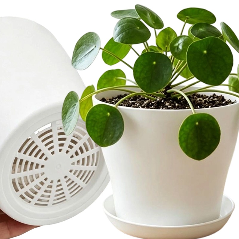 排水穴とマッチングトレイ付きの植木鉢セット PP樹脂製 カラ - Indoor Herb Garden Kit のレビューと価格