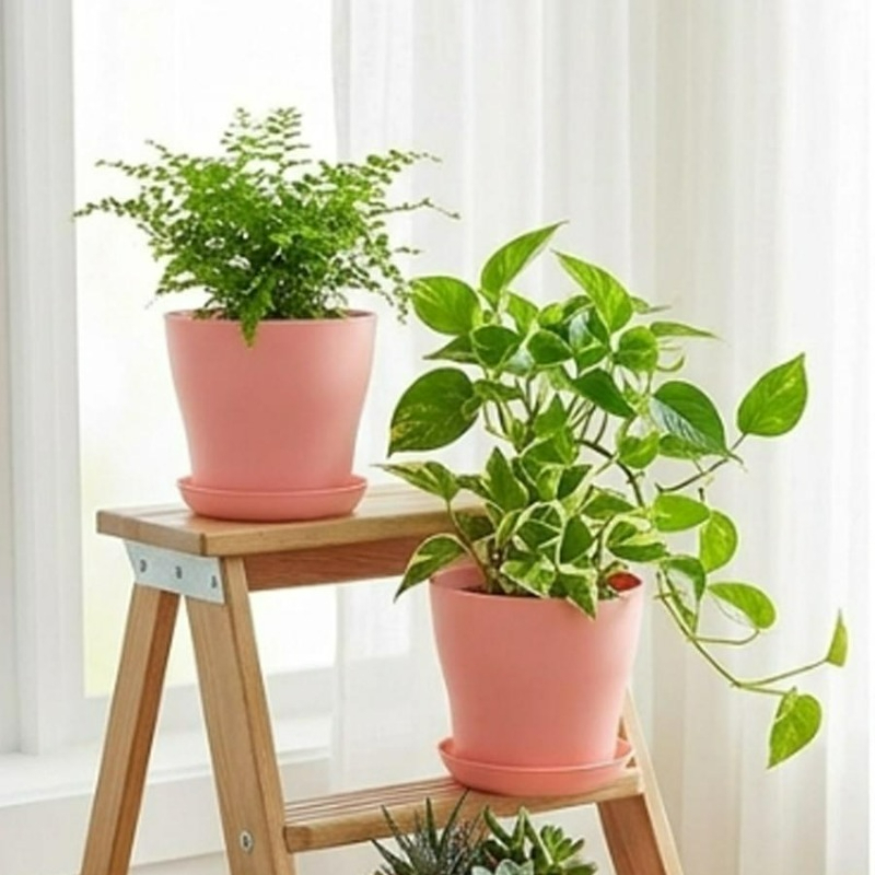 排水穴とマッチングトレイ付きの植木鉢セット PP樹脂製 カラ - Indoor Herb Garden Kit のレビューと価格